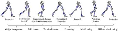 Surface Electromyography Normalization Affects the Interpretation of Muscle Activity and Coactivation in Children With Cerebral Palsy During Walking